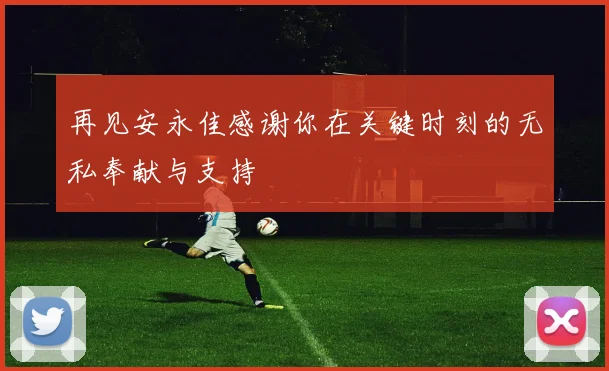 再见安永佳感谢你在关键时刻的无私奉献与支持